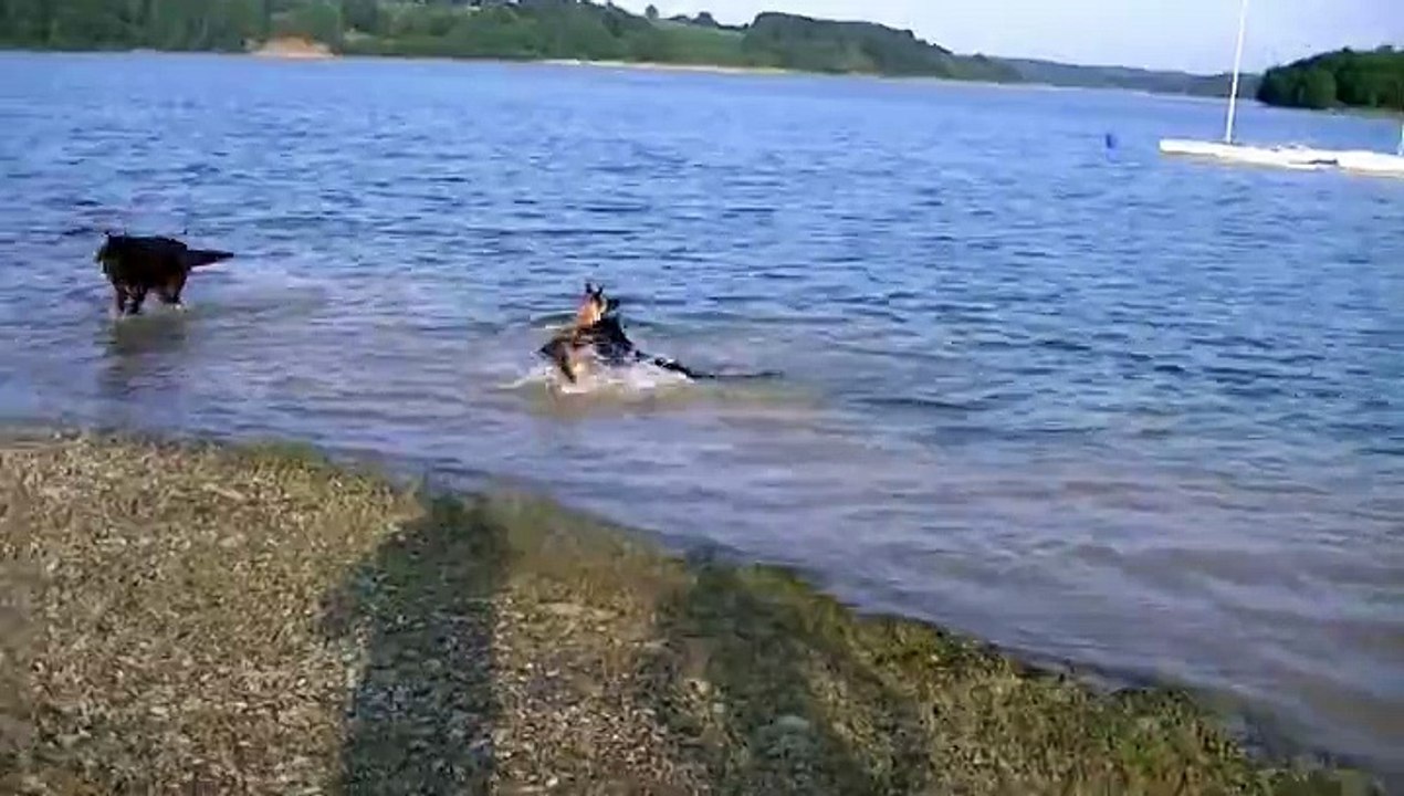 Promenade au lac de Lourenties, 38° à l'ombre
