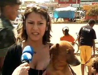 Jornal Local: vacinação