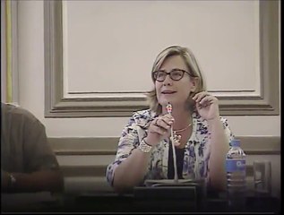 Conseil Municipal de Fécamp du 29 juin 2015