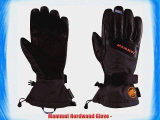 Mammut Nordwand Glove -