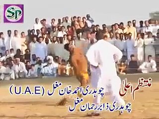 Pakistan kabaddi man almost gets Knocked out by lethal SLAP Dadyal mela 2013