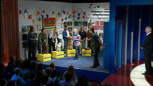 Thank God You're Here | Josh Lawson (2)