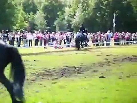 friese paarden dag 3