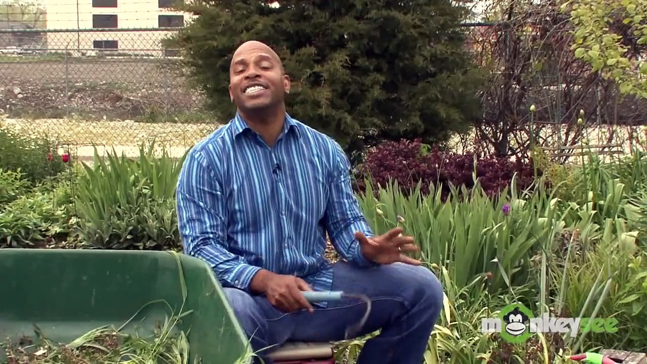 Tips To Make Spring Weeding A Snap