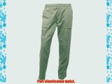 Regatta Mens New Action Trouser (Regular) / Pants (30W x Regular) (Lichen)
