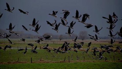 Les meilleures photos Facebook de juin