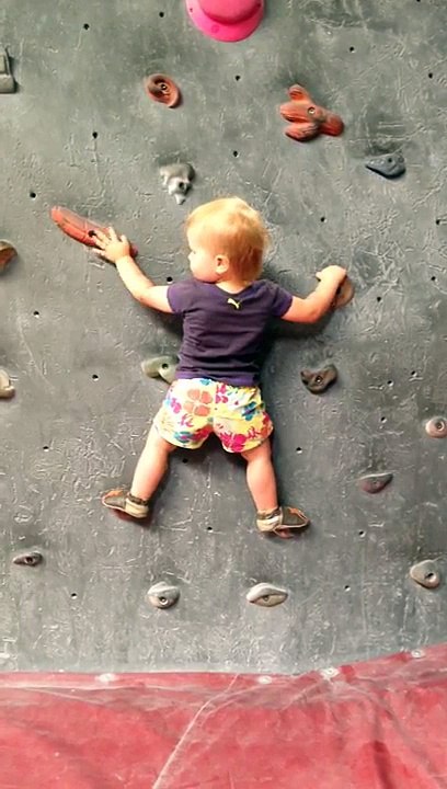 Ce bébé de 1 ans et demi est un pro de l'escalade
