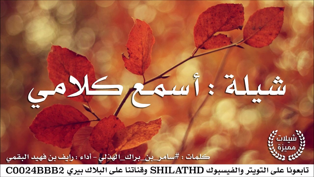 شيلة : أسمع كلامي - أداء رايف بن فهيد البقمي | أصلي + مسرع | #شيلات #صوتيات