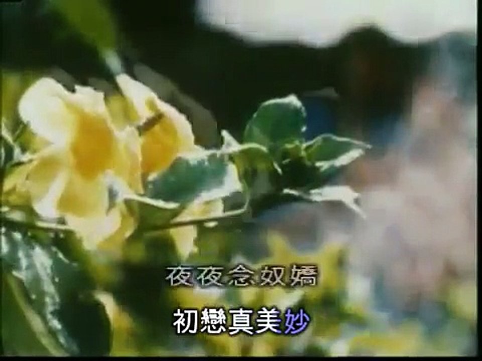 許冠傑 - 夜夜念奴嬌 Sam Hui (with lyric & sing along version)