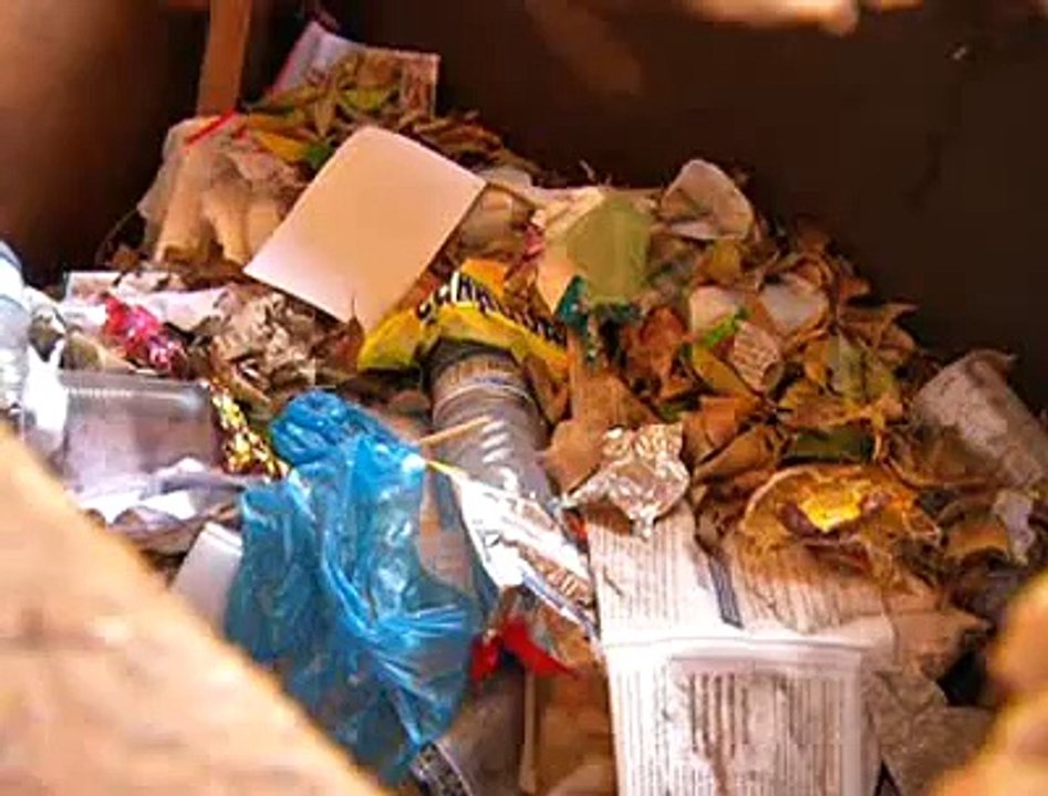 Jornal local: esgoto