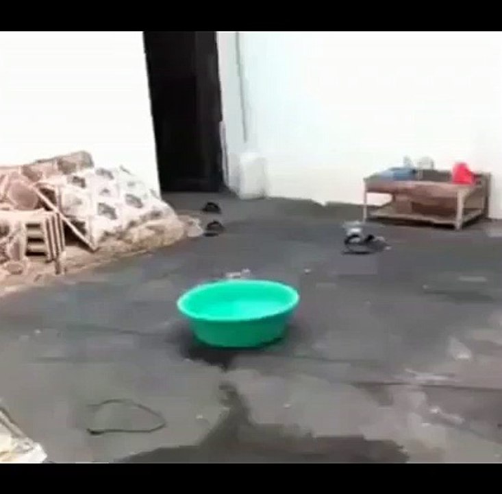 Good effort for summing