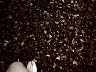 El mito de la caverna