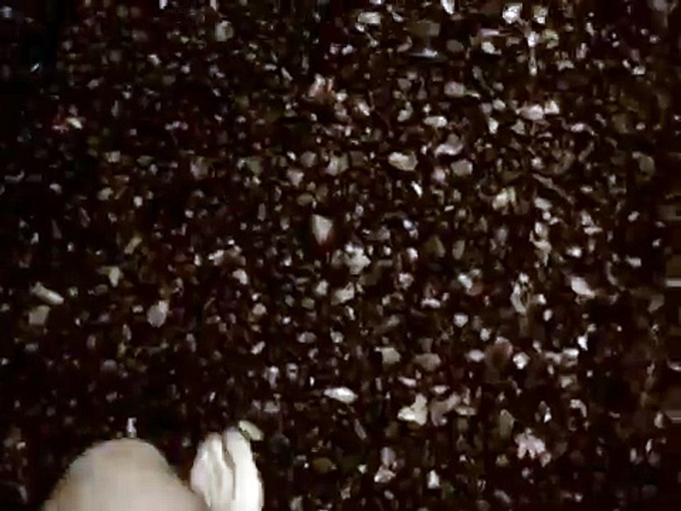 El mito de la caverna