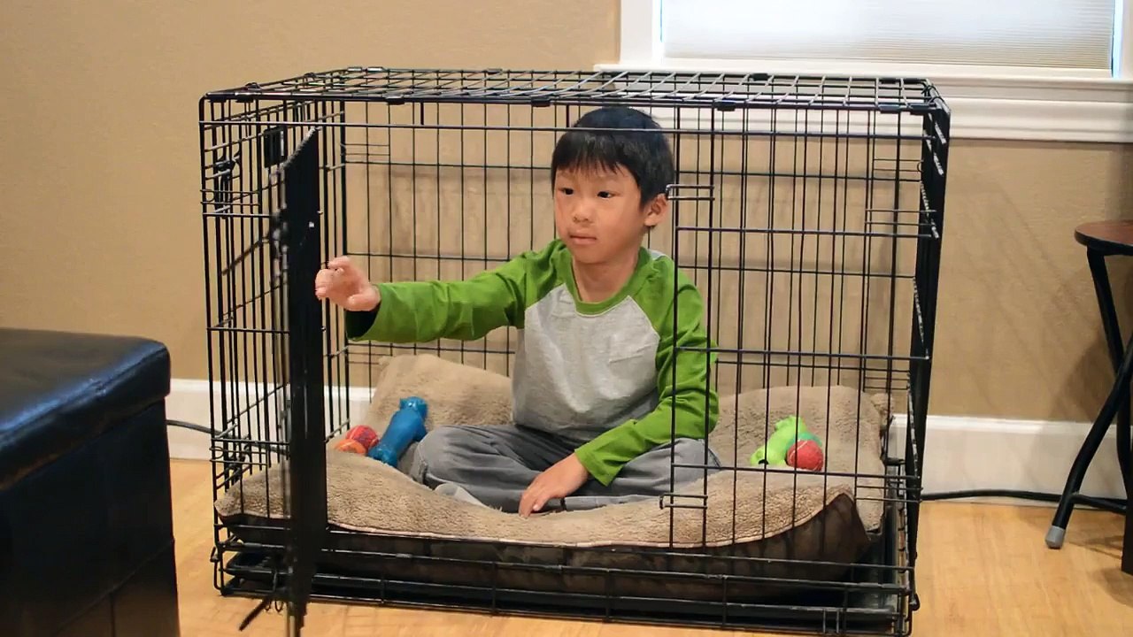 Boy in Cage