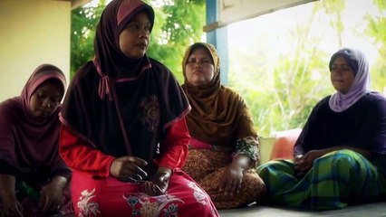 Cara Budidaya Kepiting Mudah dan Cepat Panen