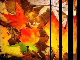 Don Backy   Vele bianche