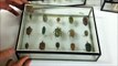 Colección documentada de insectos coleopteros