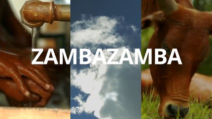 Zambazamba