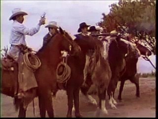 PELICULA : Clave Privada - Matanza De Una Familia