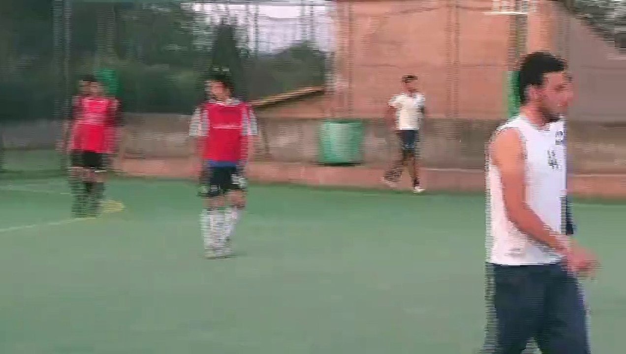 TIMPO-LIONS 8-2