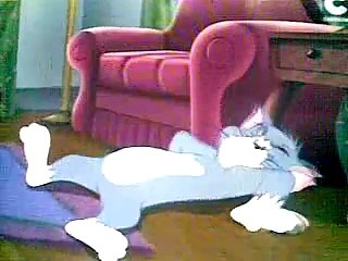 Tom And Jerry Friends New Episode Mosquito very funny 2015