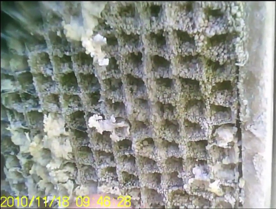 Another Cooling Tower Drain and Clean - Nov 19th, 2010