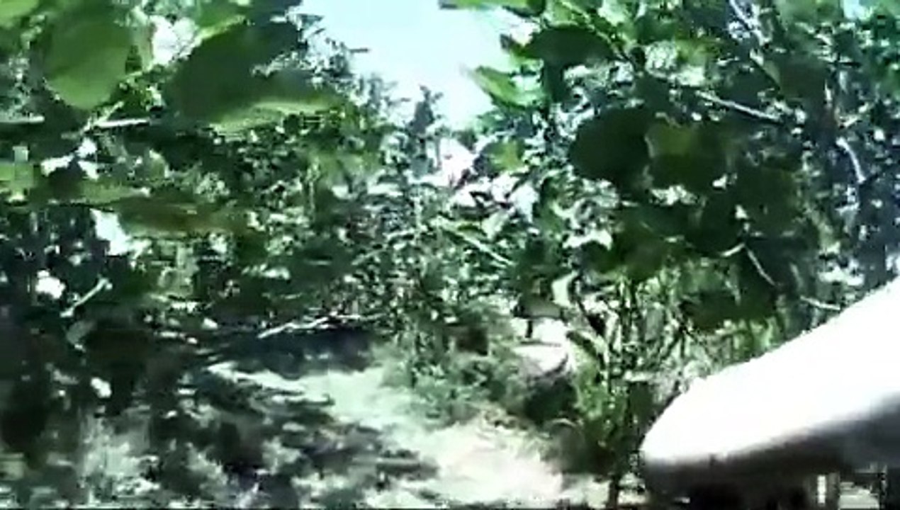 Australian SPECIAL FORCES SASR Combat Footage A...