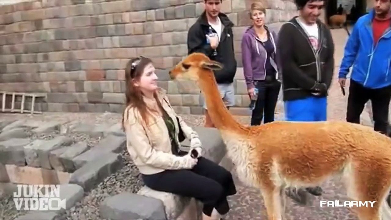 Fail Compilation of the Month September 2012    FailArmy (2)