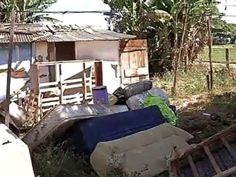 Jornal Local: Derrubada Vila Dnocs