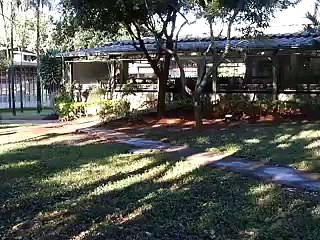 Jornal local: assalto xique xique