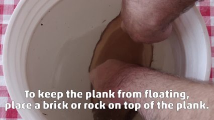 Video: How To Grill Bass on a Cedar Plank