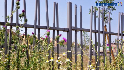 Installation clôture OOBAMBOO de normaclo : astuces de pose - système modulaire