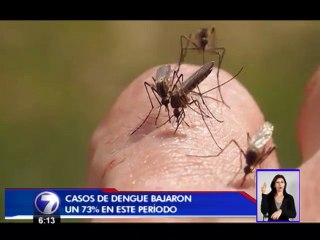 Los casos de dengue han disminuido un 73% con respecto al año anterior