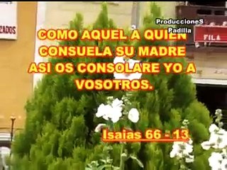 maximo paitan - hay un gozo