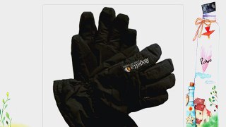 Regatta Hanson gloves