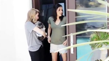 Jenny Mollen's dog, Mr. Teets is an extremely Jealous individual!!