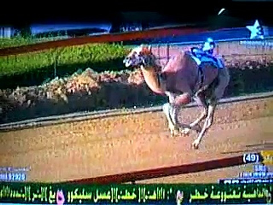 Arab Life Style