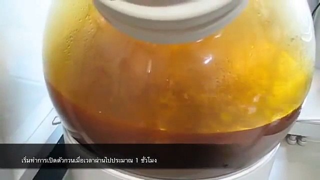 เครื่่องสกัดทองระบบปิด (Gold Refining for 4KGs)