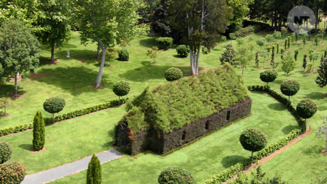 This New Zealand Church Is Made Out Of Trees