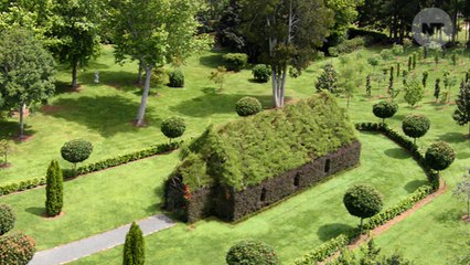 This New Zealand Church Is Made Out Of Trees