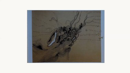 Un Oiseau d'Antoine Carton traverse un paysage de Réquichot