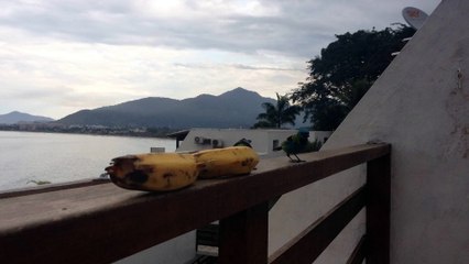 Vídeos by iPhone 4, cotidiano de uma caminhada, julho, 2015, Taubaté, SP, Brasil, (195)