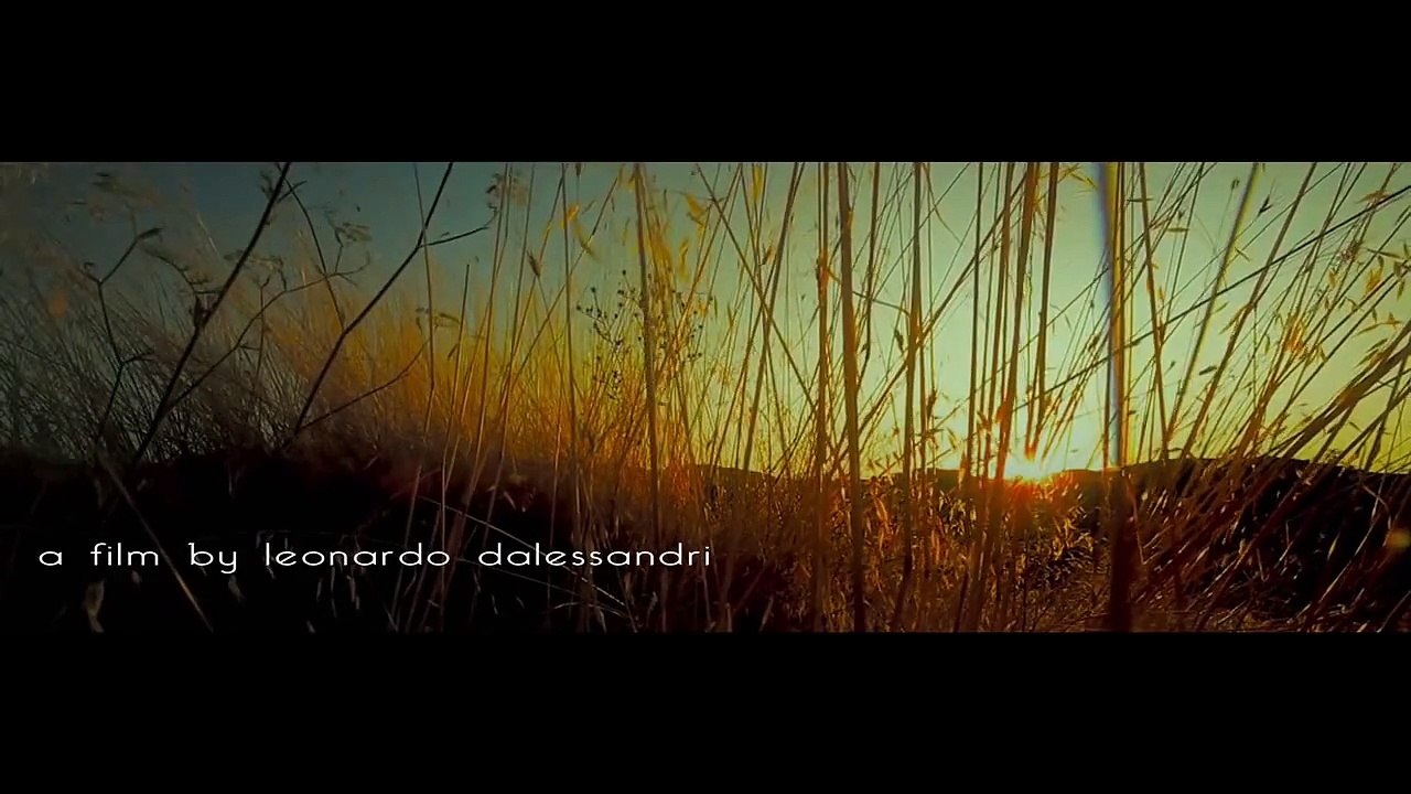Suddenly, last summer..