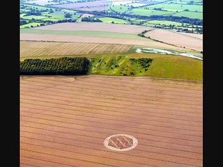 New Crop Circle 25th July at Etchilhampton, Wiltshire, UK!