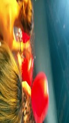 RED tour Toulouse  juin (40)