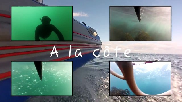 Chasse sous marine - Dernier film 2013, les Etocs, rade de Brest, les Glénan et la côte en Bretagne