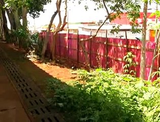 Jornal Local: aula ceilandia