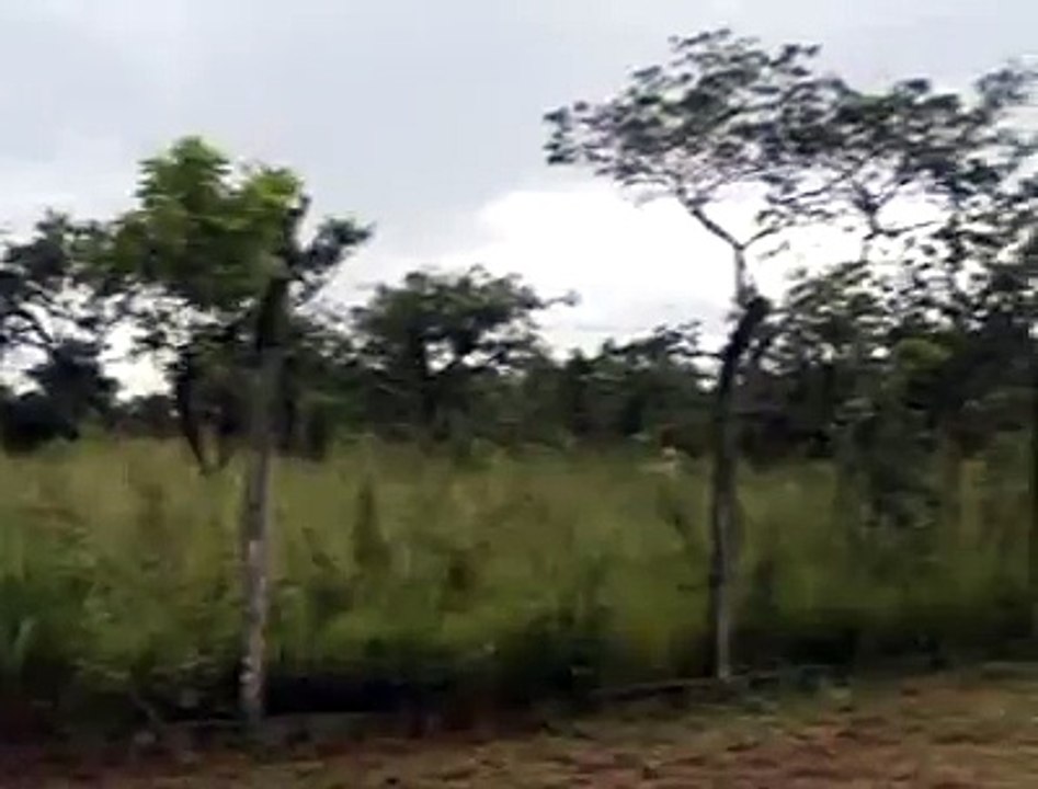 Jornal local: chuva fim de semana