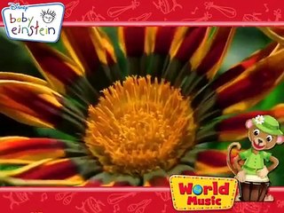 Baby Einstein - World Music