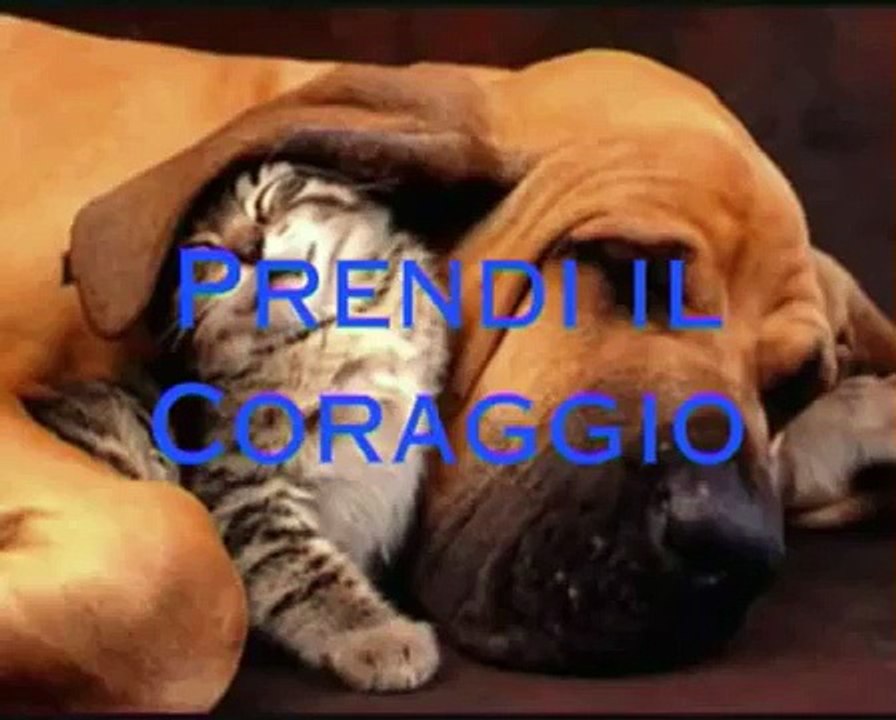 Riflessioni